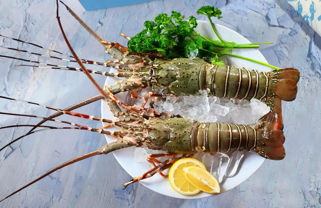 Rock Lobster