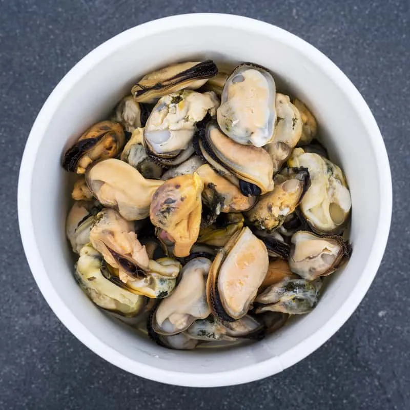 Mussel Meat