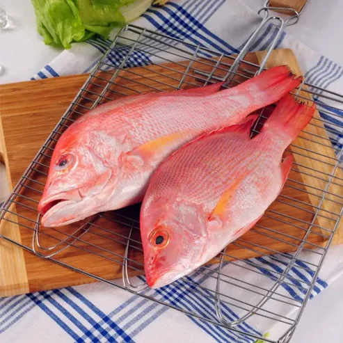Red Snapper