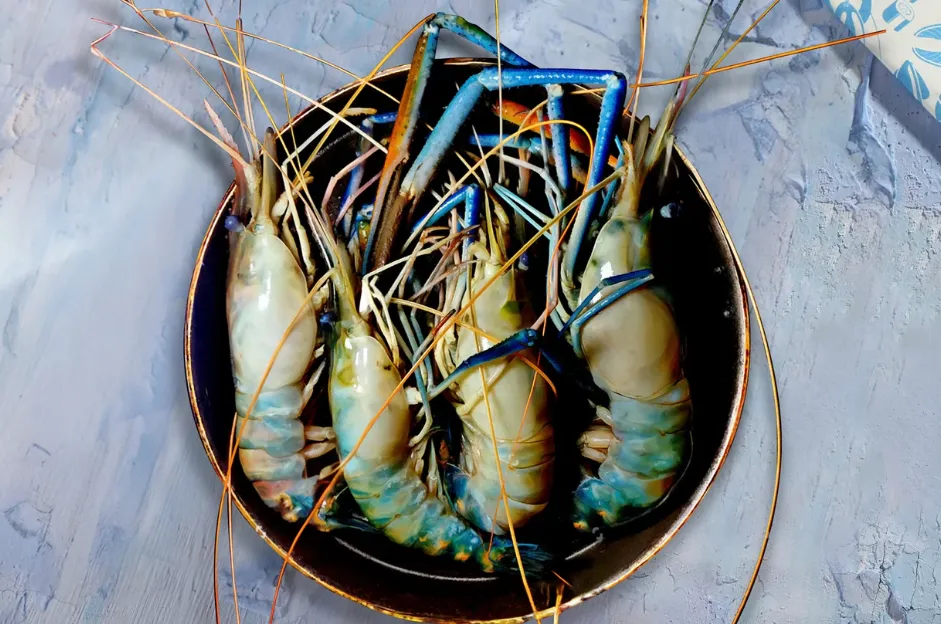 Scampi