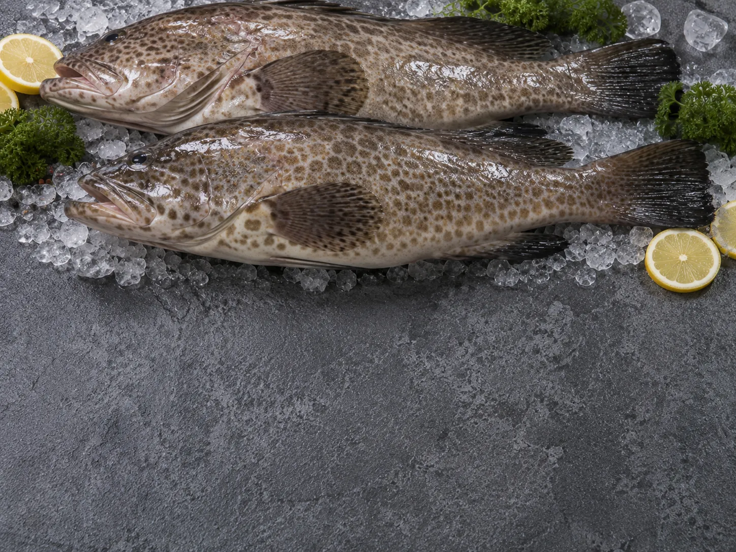 Grouper