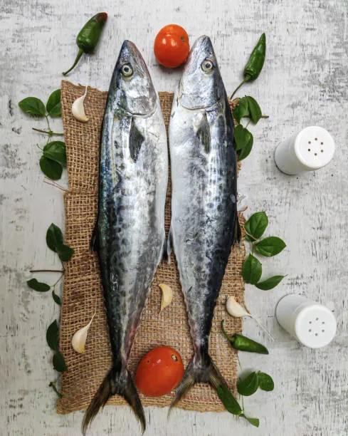 Seerfish / king fish